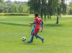 马竞遭布鲁,逆转,前巴萨球员,2026世界杯,世界杯赛程,举办城市,球队动态,赛事推荐