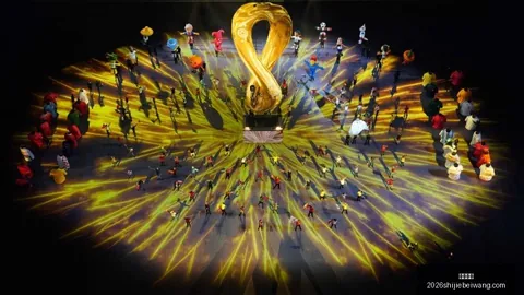 “20251130 团结之战乐球直播：激情球夜”
